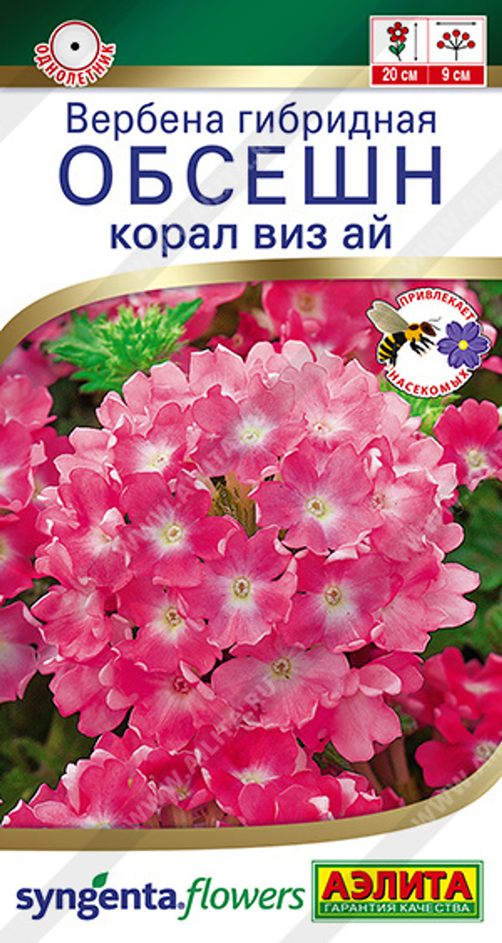 Вербена Обсешн корал виз ай 5шт Аэлита