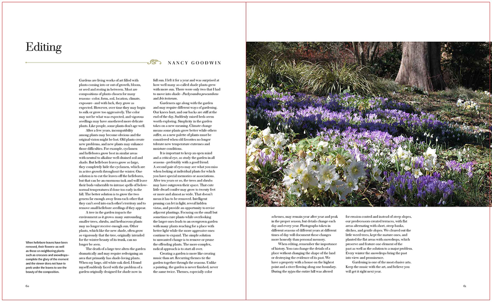 Garden Design Master Class: 100 Lessons from The World's Finest Designers on the Art of the Garden
