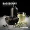 DarkSide - Bassberry