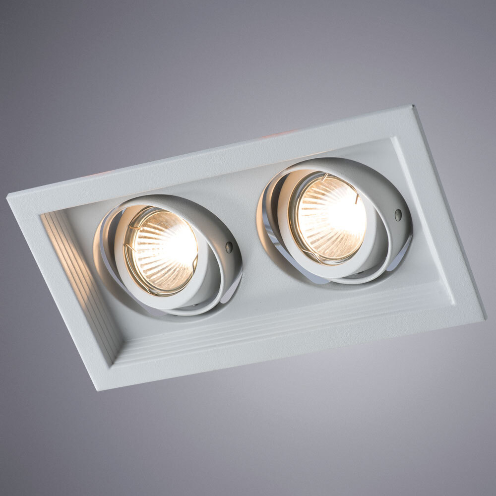 Светильник потолочный Arte Lamp Canis A6661PL-2WH