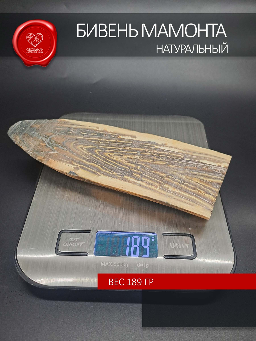 Бивень мамонта для коллекции