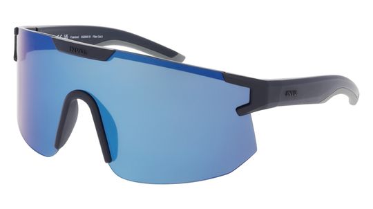 Очки солнцезащитные INVU IA22500B с чехлом