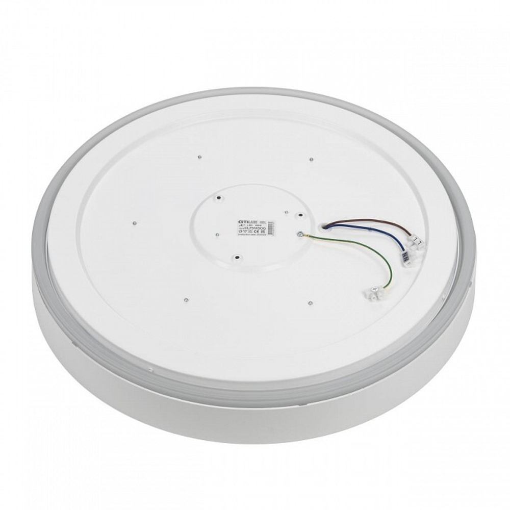 Накладной светильник Citilux BOSS CL751450G