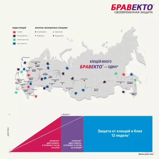 MSD Animal Health Бравекто для собак 20-40 кг, таблетки 1000 мг 1 шт. в уп., 1 уп.