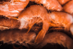 Креветка лангустины в Казани с доставкой купить