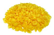 Порно қызды байлады және достарын шақырды