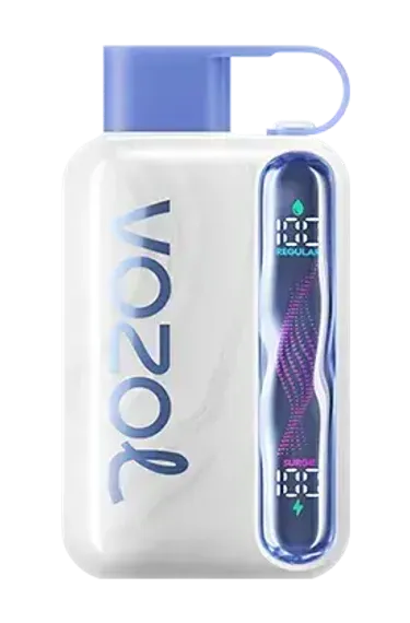 Vozol STAR 40000 - Blueberry Mint (5% nic)