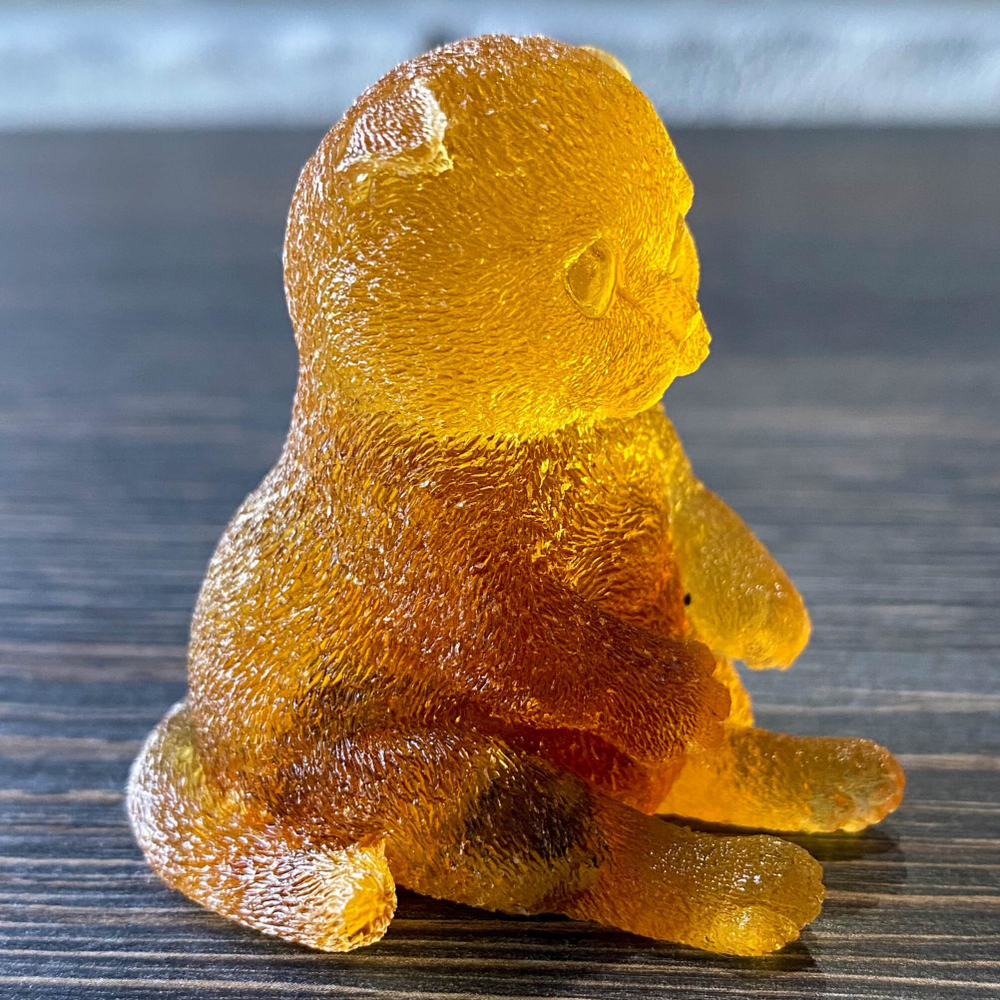 Кот забавно сидит