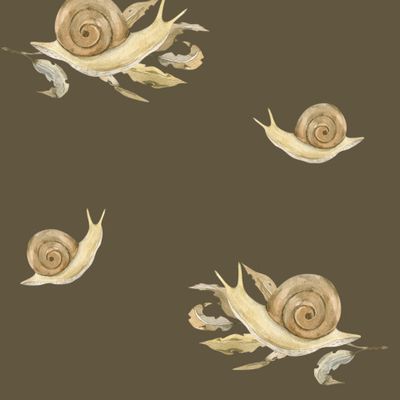 улитки темный фон