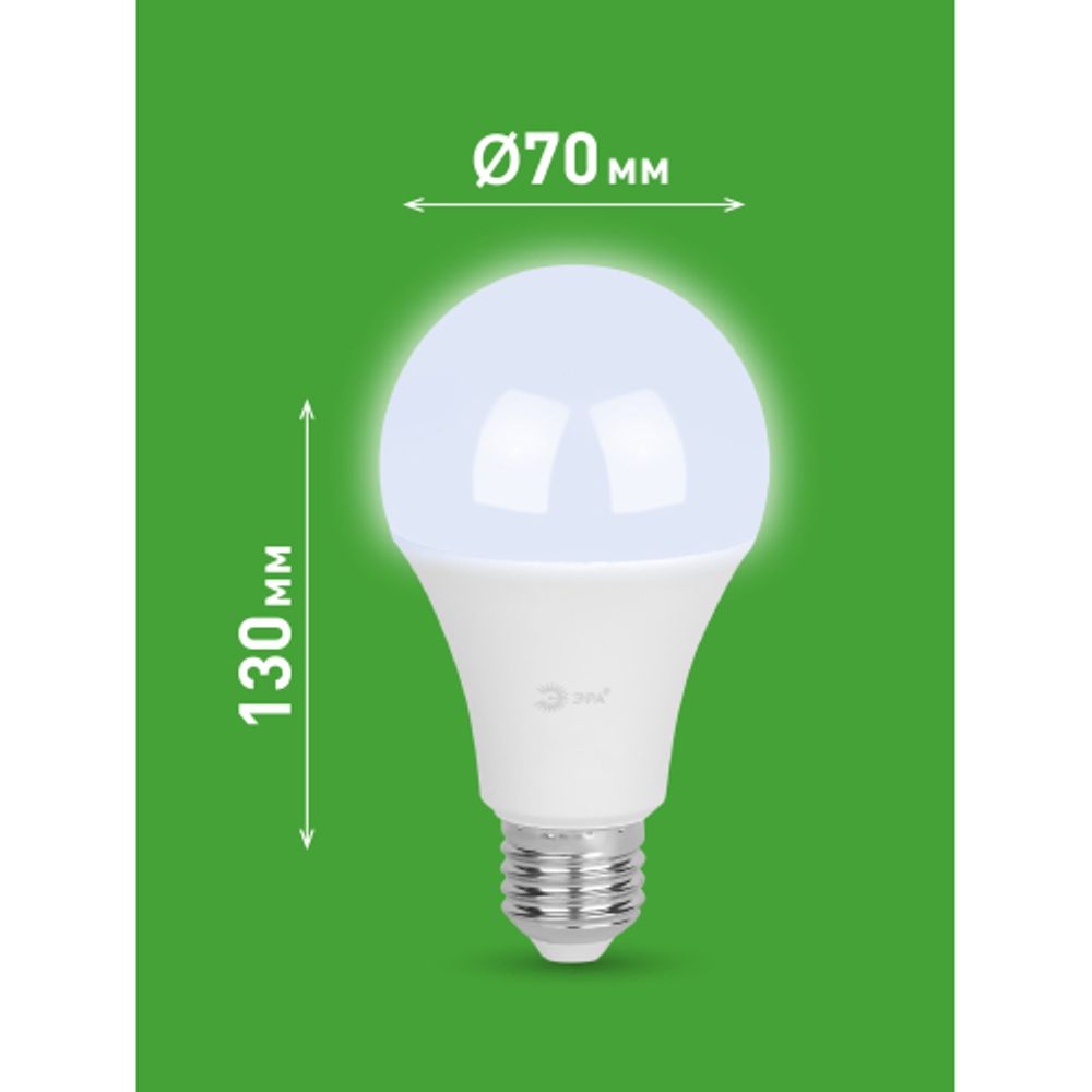 Лампа светодиодная ЭРА GREEN LINE LED A65-30W-865-E27 GL 30Вт груша холодный свет E27 | Лампы cветодиодные Груша (A)