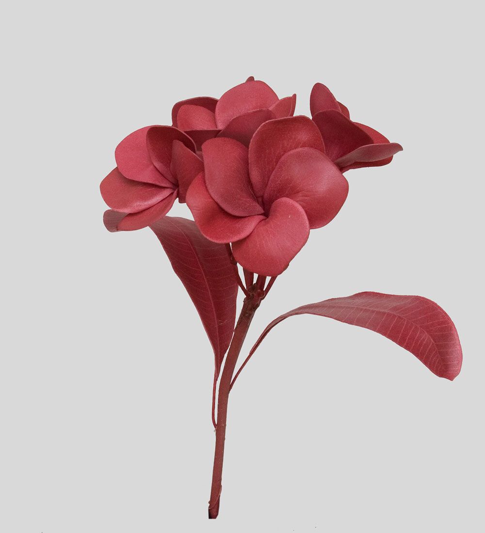 TR 614HM2 Плумерия 5 бутонов с листьями