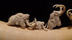 "5 мамонтов", бивень мамонта (mammoth tusk)