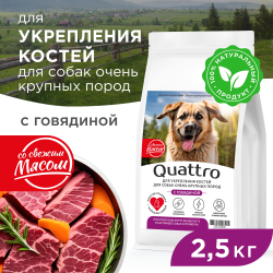Корм сухой для взрослых собак очень крупных пород, премиум полнорационный комплекс, для укрепления костей у собак, с говядиной, 2,5 кг, QUATTRO