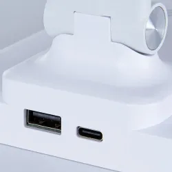 Офисная настольная лампа Arte Lamp