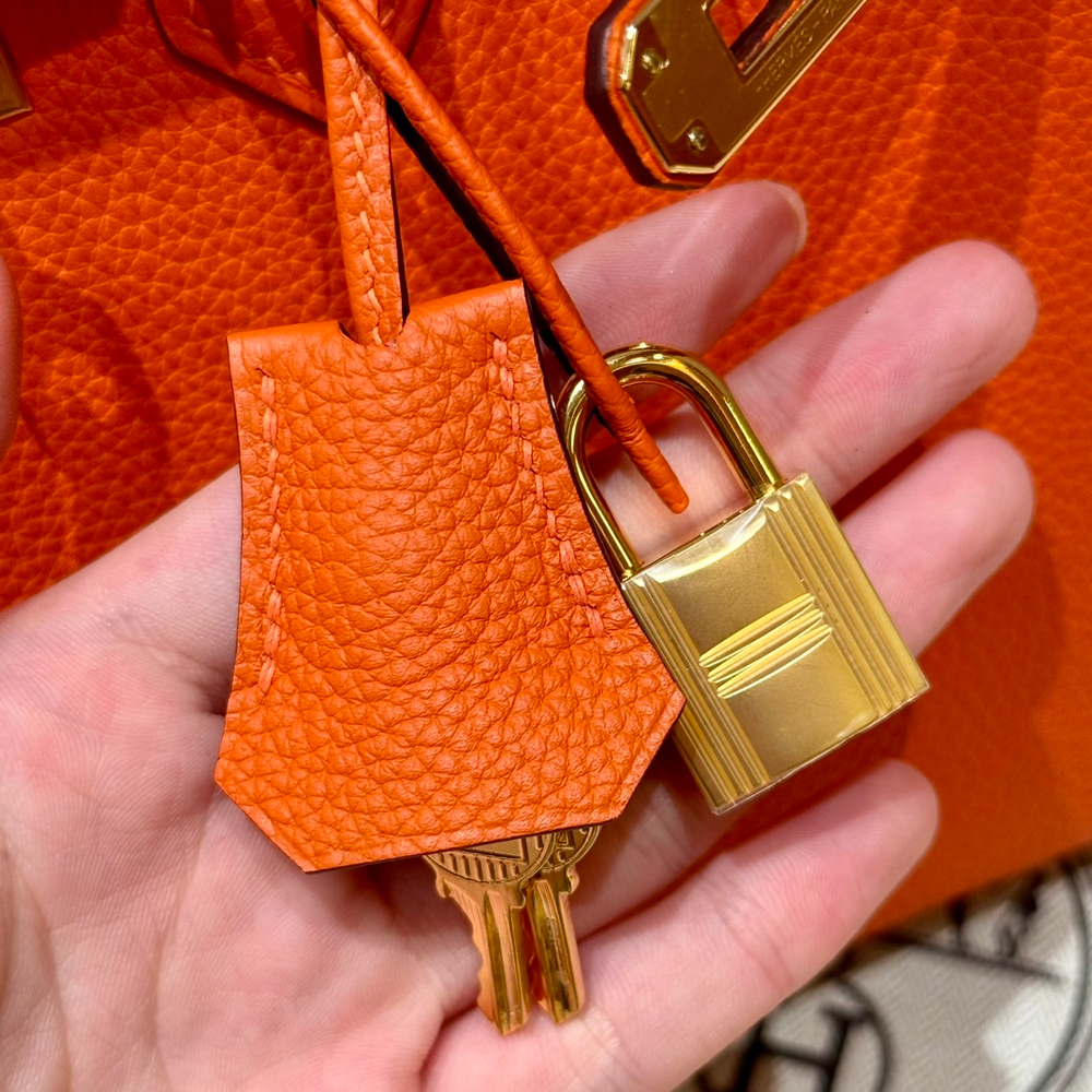 Hermes Birkin 25