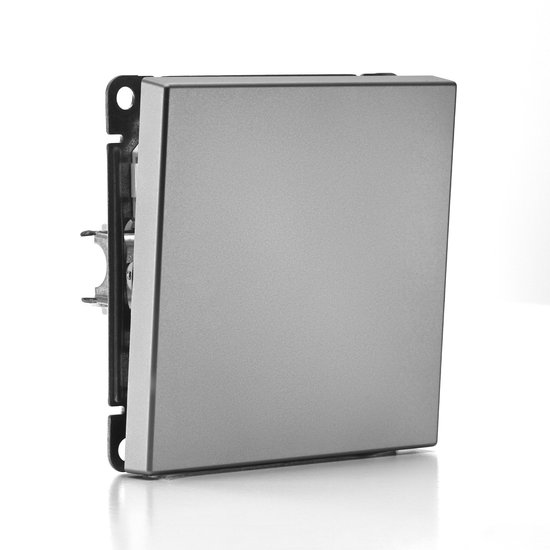 Выключатель кнопочный 1-кл. ArtGallery быстрозажим. клем. механизм сталь SE GAL000915S