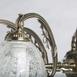 Потолочная люстра MW-Light АМАНДА 481015308