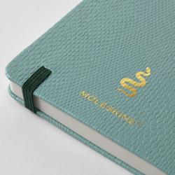 Блокнот Moleskine LE YEAR OF THЕ SNAKE 130х210 мм 176 стр линейка мятный Mamba (LECNYSNKVEGMBOX)