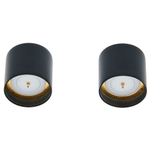 Se Electronics sE8 omni capsule (P)