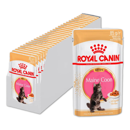 Royal Canin корм консервированный для котят кусочки в соусе породы мэйн кун