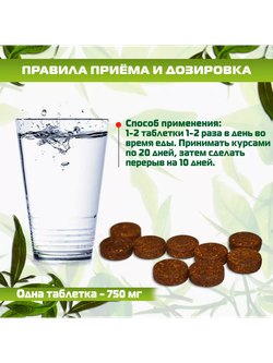 Шатавари таблетки Sangam herbals