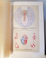 "Человек в двух томах". И.Ранке. 1903 г.