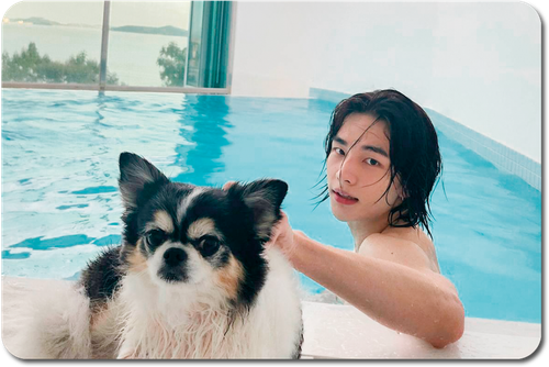 Карта / STRAY KIDS #0534