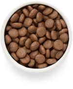 GRANDORF FRESH Свежее филе лосося с бататом для собак крупных пород