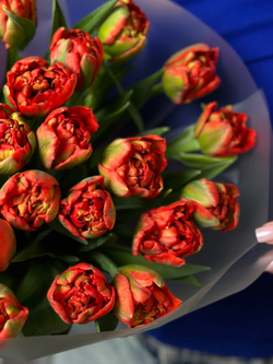 Букет оранжевых пионовидных тюльпанов