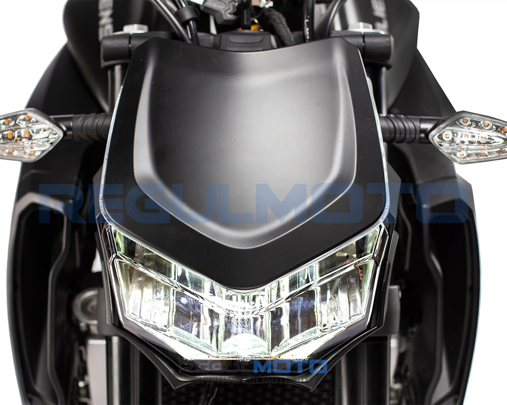 Мотоцикл Regulmoto ALIEN MONSTER 300