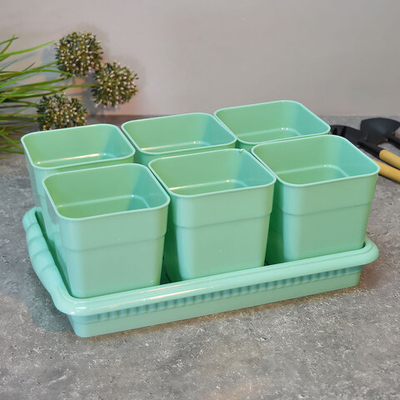 Ящик для рассады на 6 стаканчиков 460мл с поддоном "Дом и Дача"