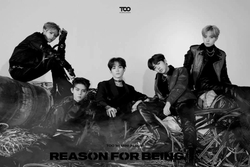 Альбом TOO - Reason For Being 1st Mini Album 2 Version SET