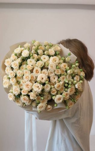 Кустовые розы Таня