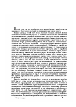 История культуры | Ю. Липперт; А. Острогорский; П. Струве