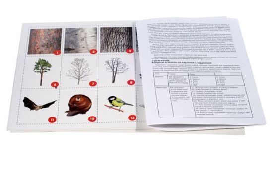 Игра-путешествие "Зимняя сказка"