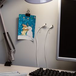 Клипсы СИЛА SCC-D20-T20 для гирлянд с технологией бесследного удаления 20 шт, 24 полоски до 200 г прозрачные | Сила