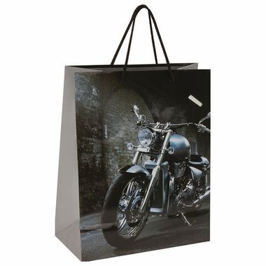 Пакет подарочный 26x12,7x32,4 см, ЗОЛОТАЯ СКАЗКА 