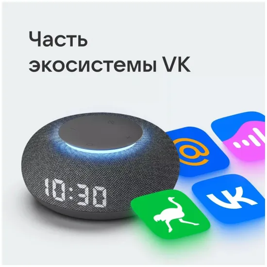 Умная колонка VK Капсула мини (с часами), тёмная серая