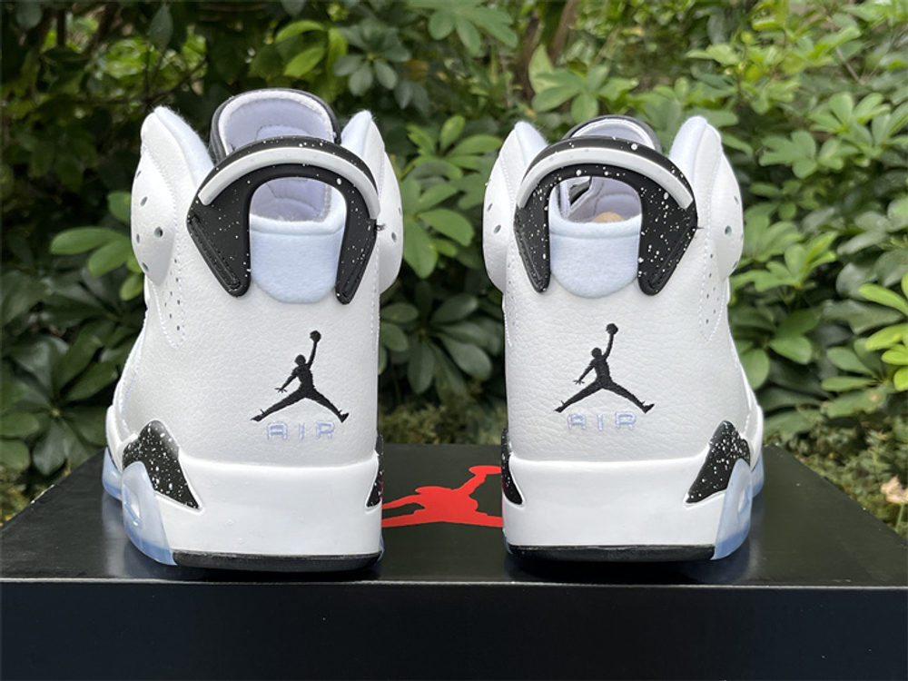 Air Jordan 6 CT8529-112