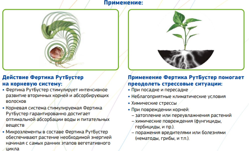 РУТ БУСТЕР 2мл. Фертика
