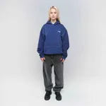 Худи Dissident DD24 синий