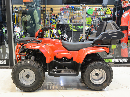 Квадроцикл IRBIS ATV250 красный (ПСМ) + кофр GKA (TESSERACT)