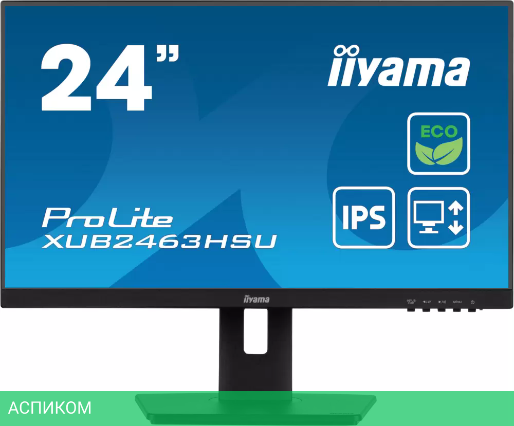 Монитор Iiyama ProLite XUB2463HSU-B1