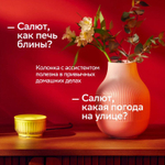 Умная колонка SBER Boom Mini 2 SBDV-00250G, 5Вт, с Салют, серый