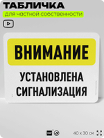 Табличка для частной территории "Внимание, установлена сигнализация", на дом, для участка, организаций и частных территорий, предупреждающая, 40х30 см, Silver Plane x Айдентика Технолоджи