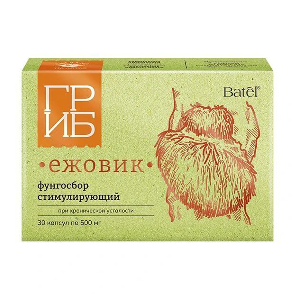 Концентрат пищевой на основе растительного сырья. Batel. Фунгосбор стимулирующий при хронической усталости с ежовиком
