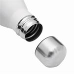 термобутылка PARKY