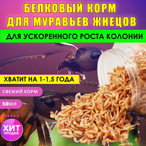 Белковый корм для муравьев (Запас на год)