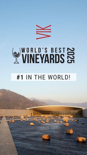 VIK: Искусство, энергия и «Золотое место» чилийского виноделия