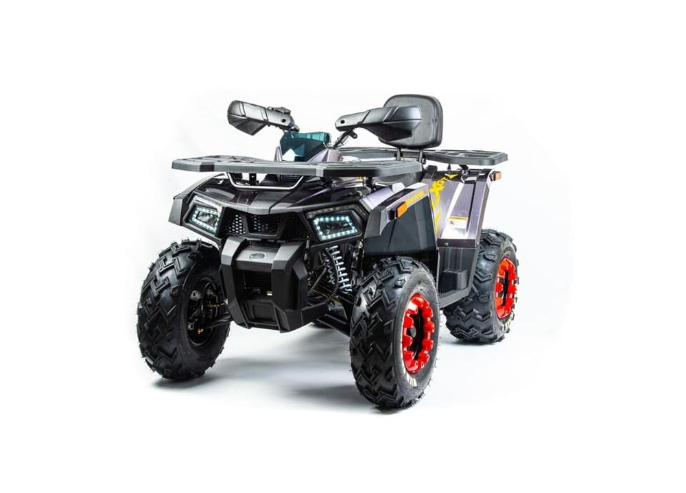 Квадроцикл MOTOLAND 200 WILD TRACK X PRO